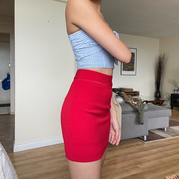 Aritzia Babaton Skirt - Picture 4 of 6